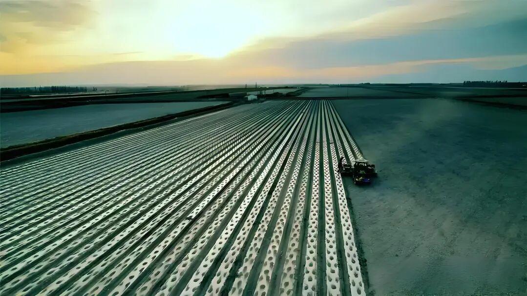 七律·农桑报喜入新春