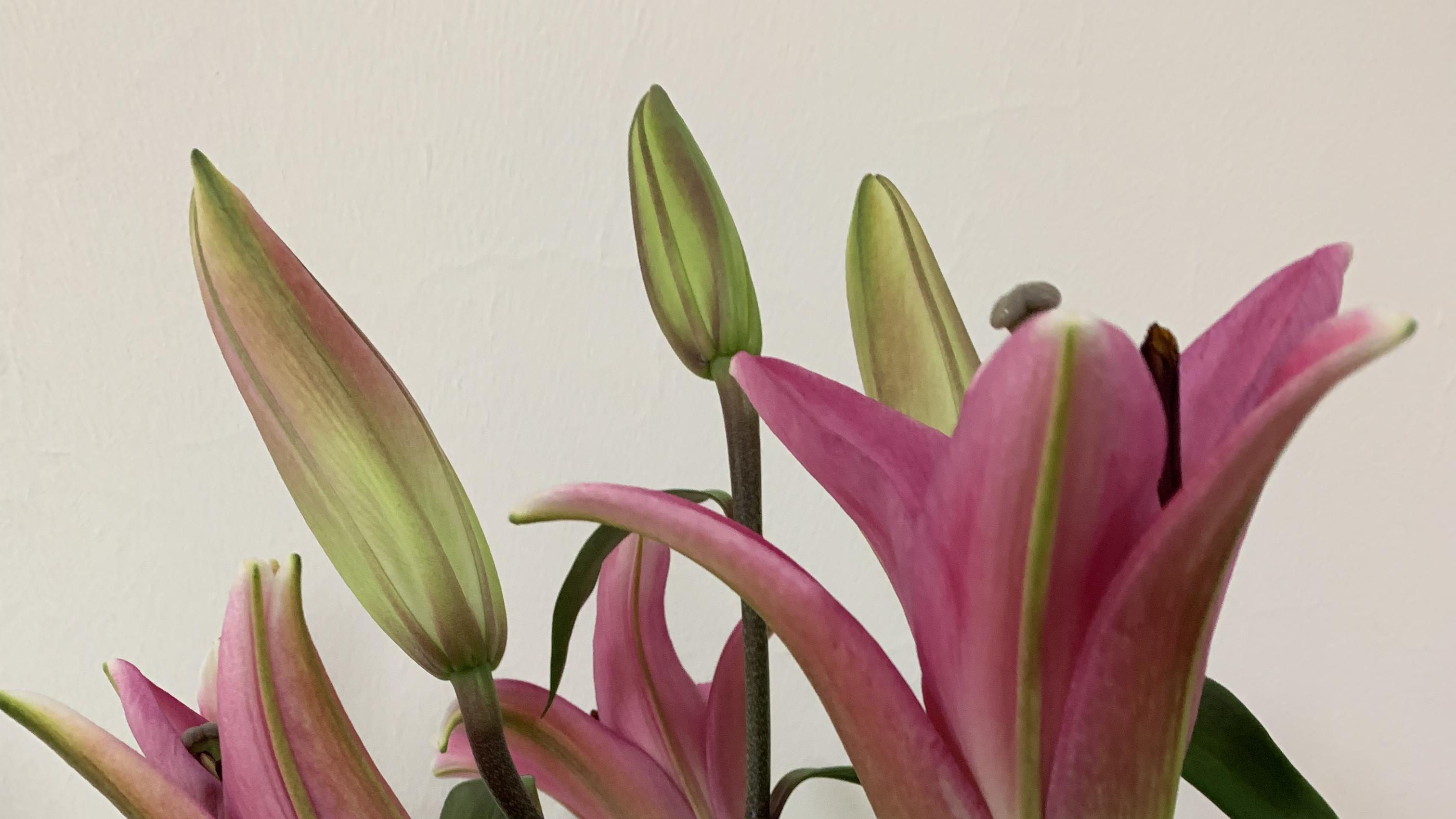 有钱的手相、面相