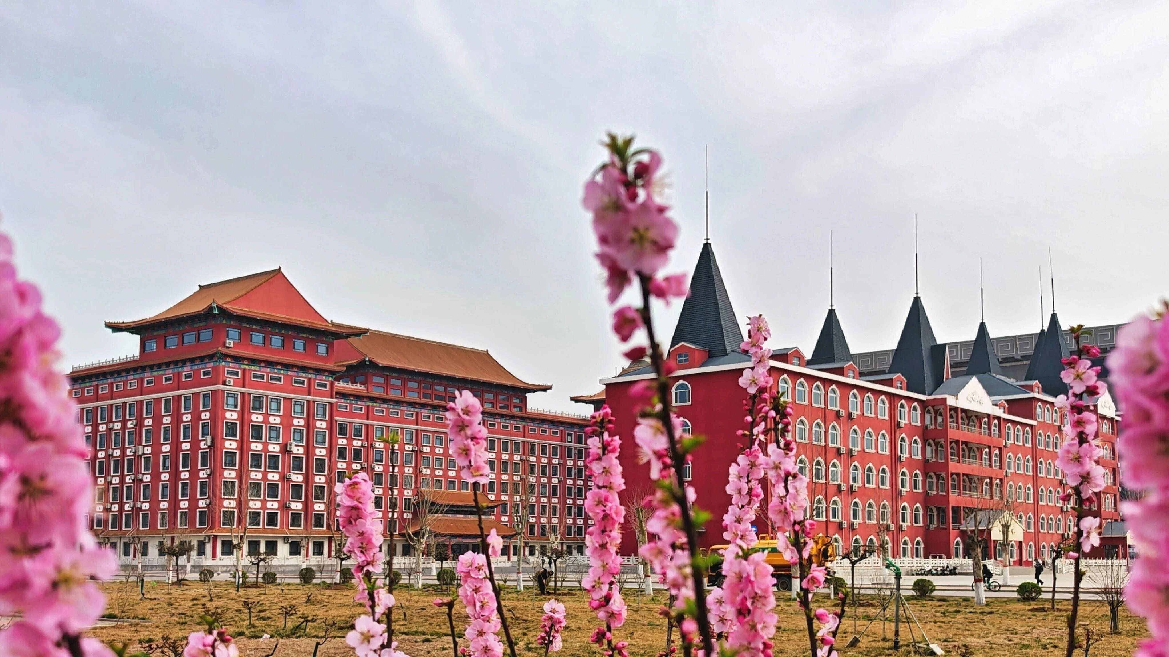 河北外国语学院工程造价专业通过省级一流本科专业验收