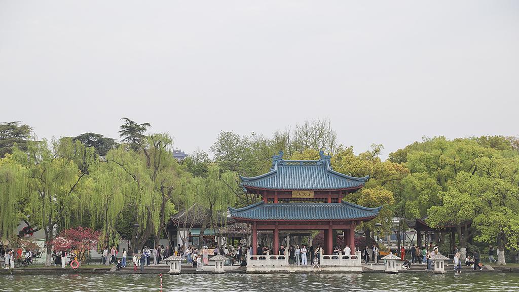 蝴蝶大乐透26036期分析，上期热码开出2个号码，本期的热码有机会开出多个吗？