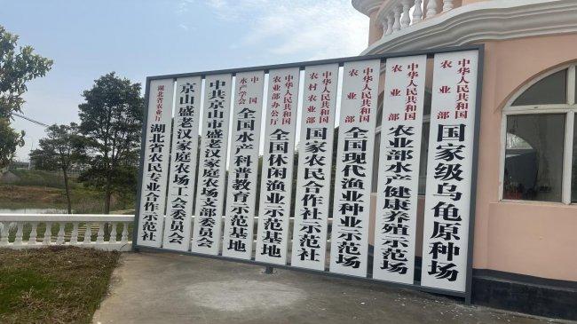 团帮集团源头卖场重磅启幕 匠心铸就国货品牌 赋能产业高质量发展