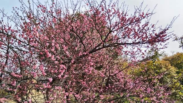 父母最坑孩子的方式，就是苦情式绑架孩子不断施压，还不自知