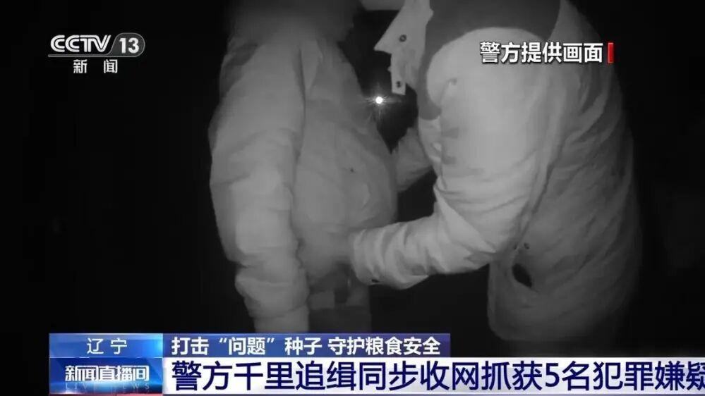 查扣伪劣玉米种子80吨！警方侦破一起特大生产、销售伪劣种子案