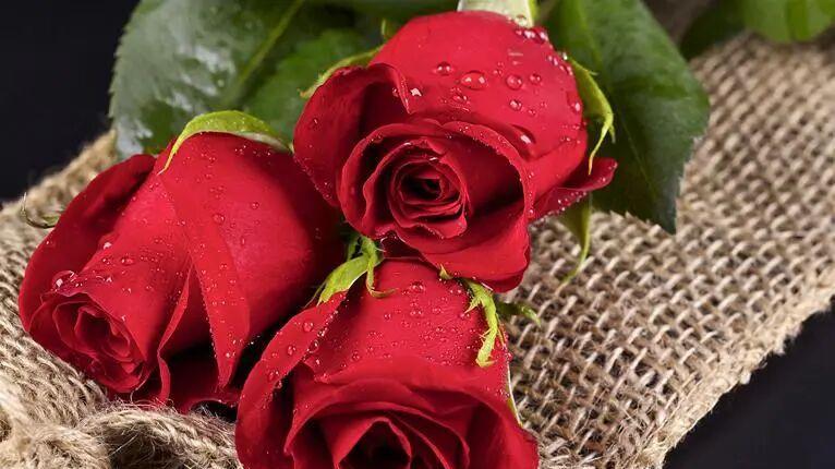 让男人心动的，从来不只是美貌