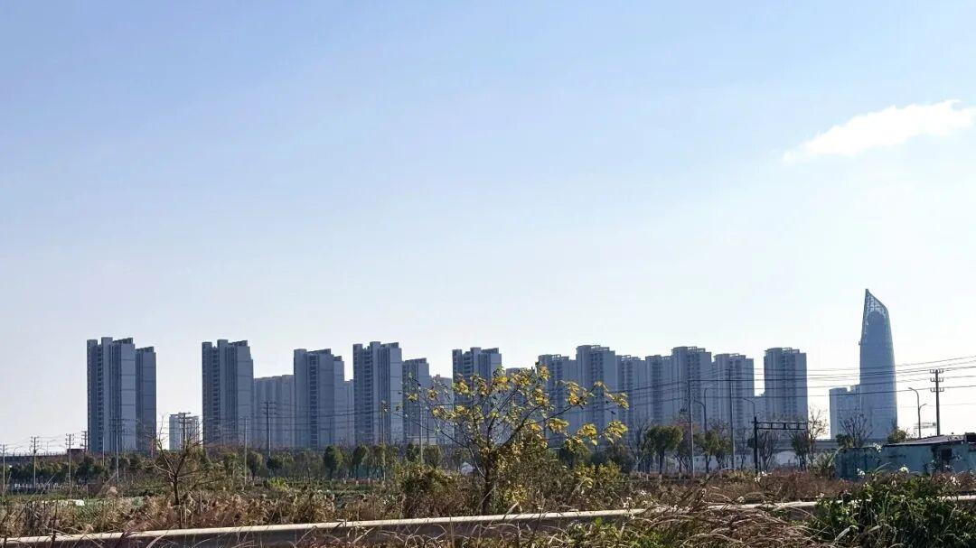 竞争加剧！温州副中心一体化，现实却在神仙打架！