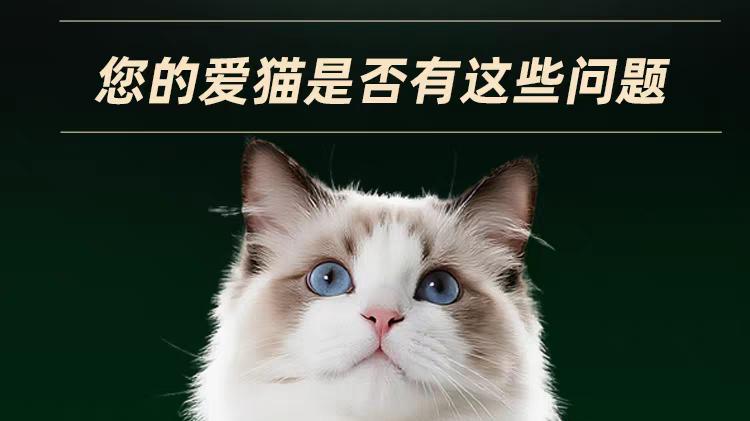 猫粮哪款好？2026国产猫粮排行榜前十名推荐