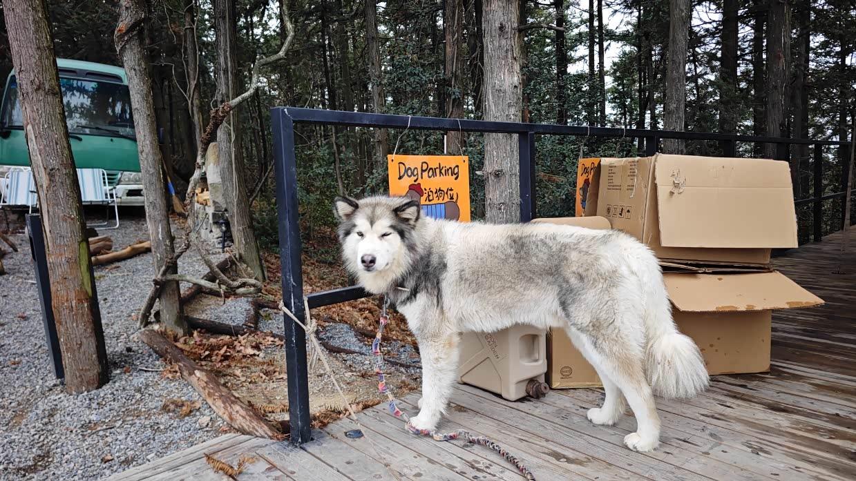 莫干山遛“马”射箭畅快野