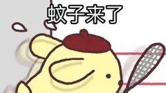 科学防蚊灭蚊，刻不容缓！