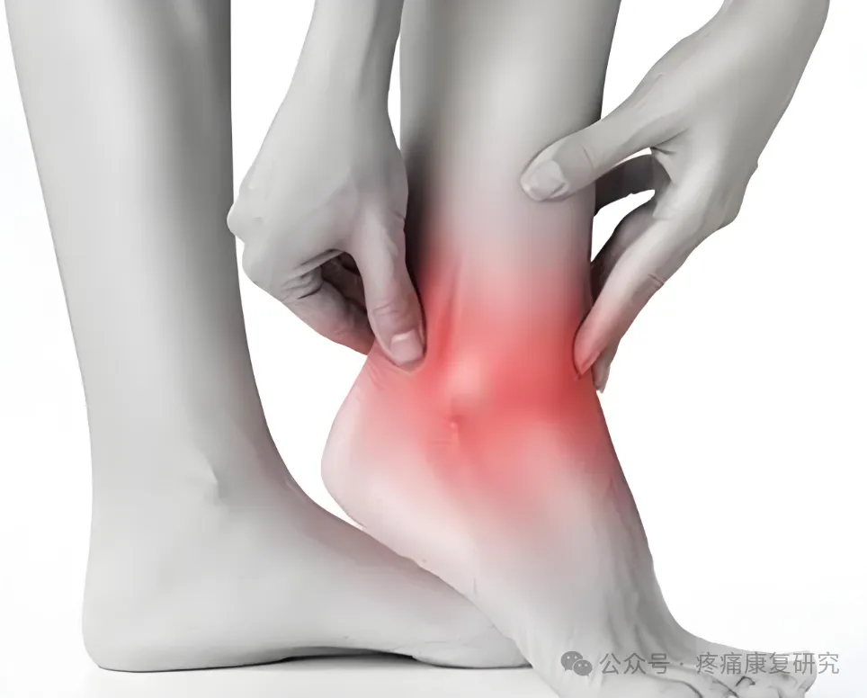 腰痛、膝盖疼、脚踝疼？根源可能在 “屁股”