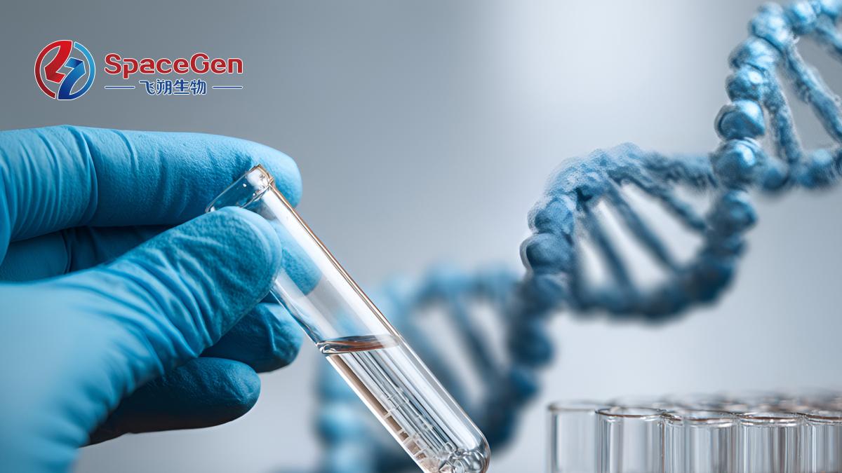 2025 肺癌KRAS G12C，2026 妇瘤 TP53 Y220C，翘首以待