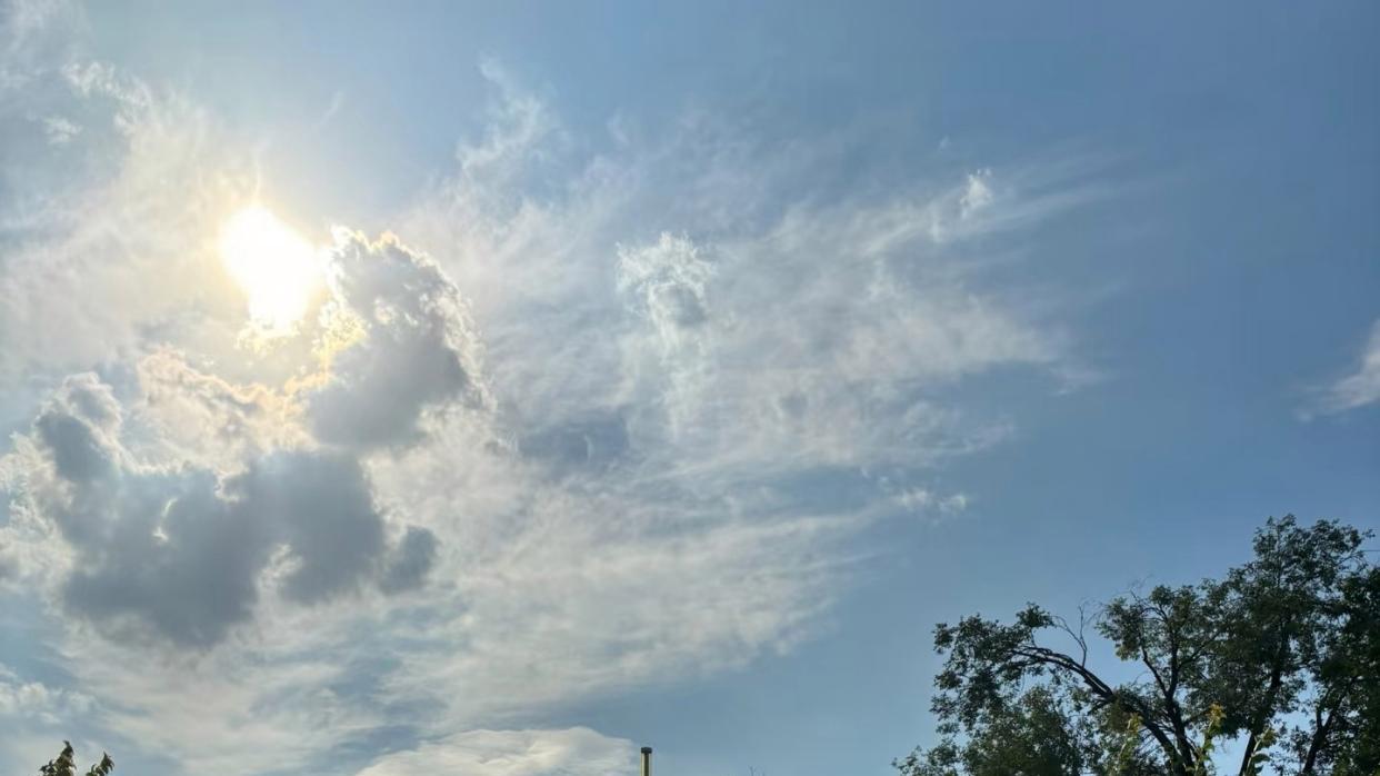 国内高校分享第75期：北京林业大学-清华并列第一的学科，正在悄悄批量输送哈佛生！