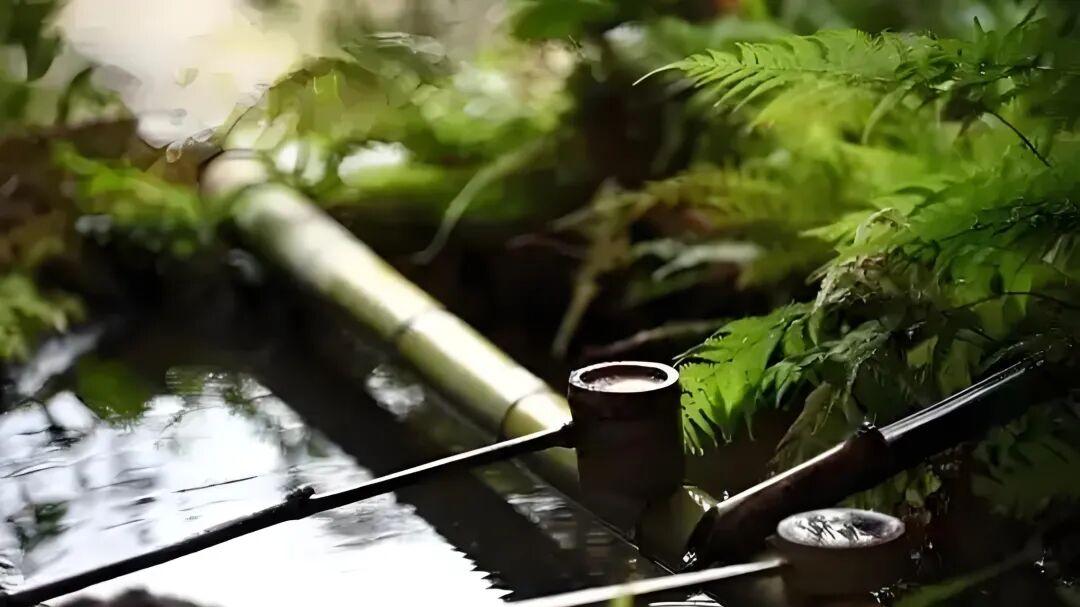 七律·半生尘梦随宜过
