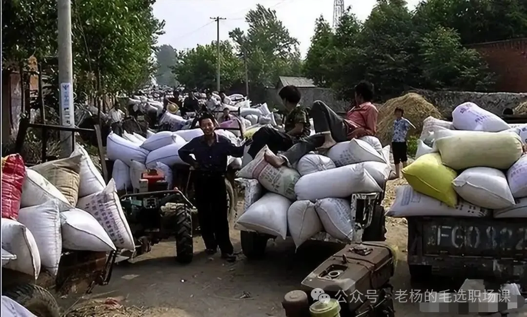 每月加到1000元！这不只是养老金，是国家给咱老农民补发的“迟到工分”