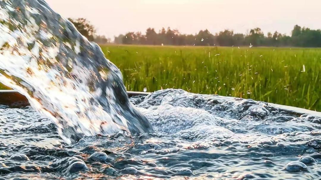 农业智能灌溉：水质检测仪在线监测