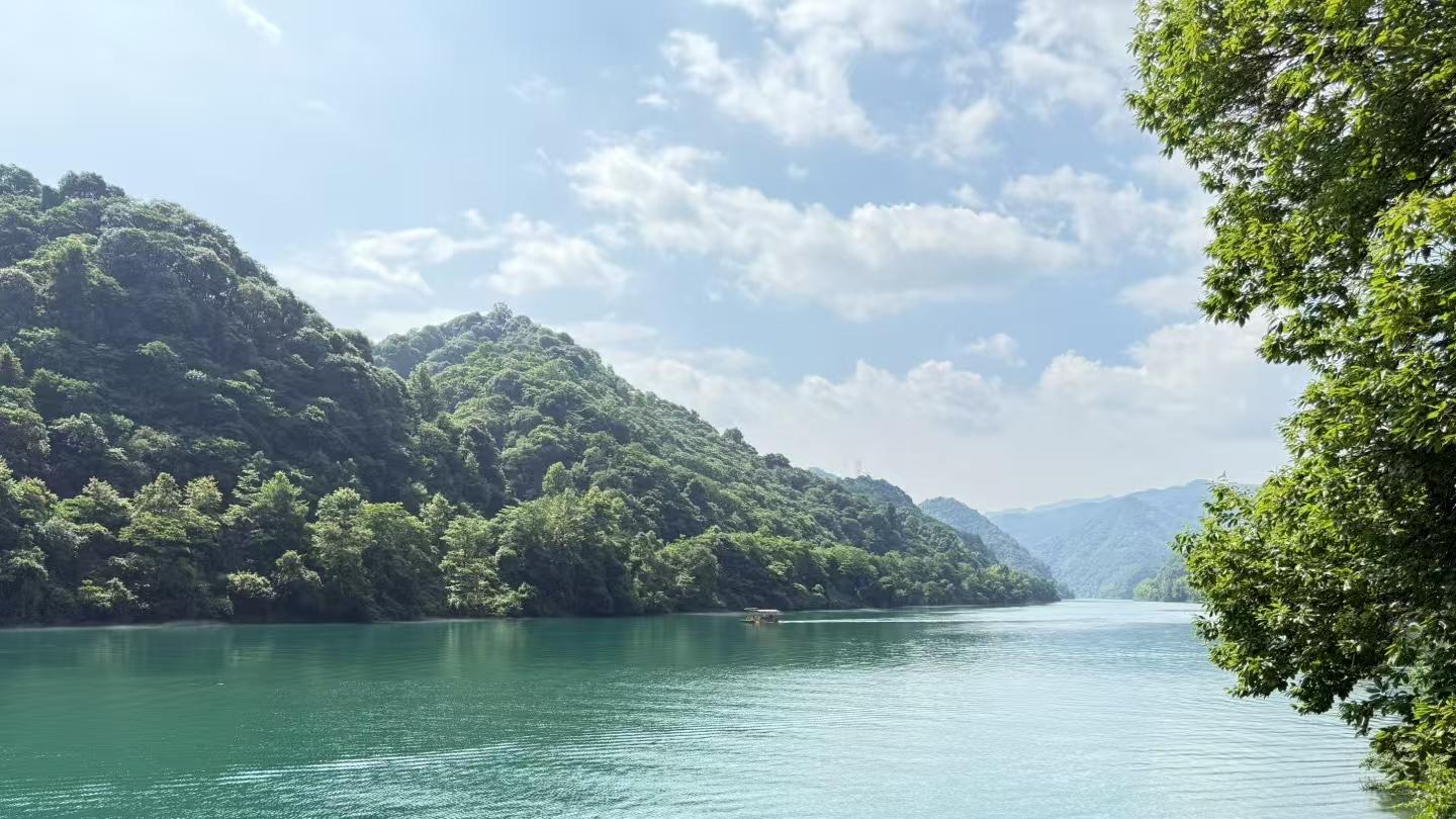 MIC无线电子产品全盘点：领夹、手持、会议麦一网打尽