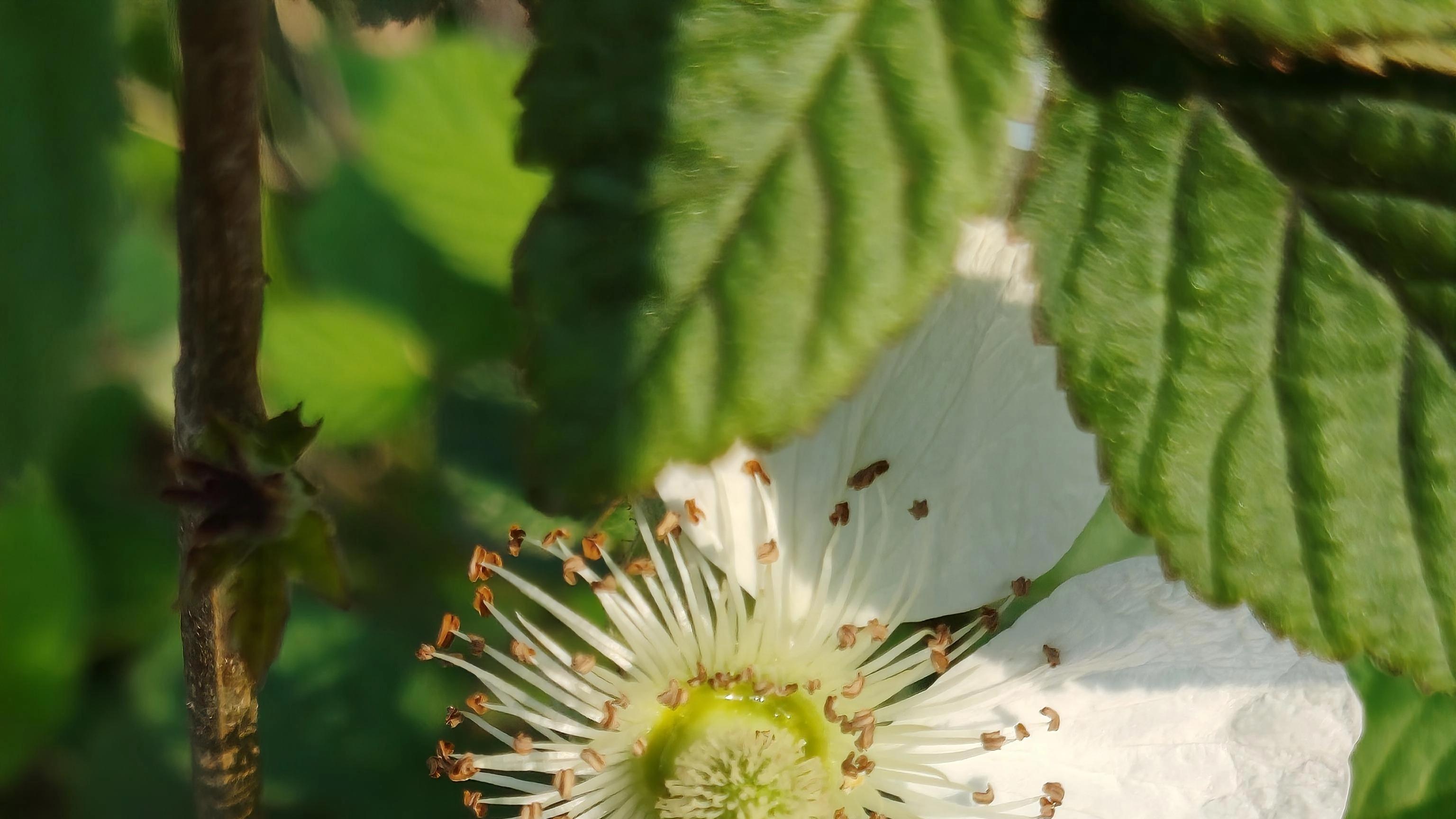 所有的委屈都会长成向阳的锋芒
