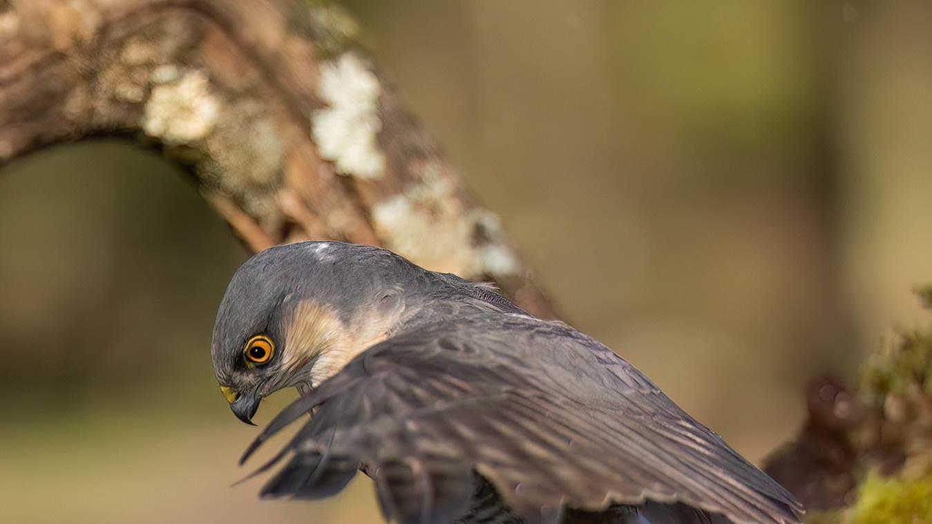 研究表明：施暴者挑选女性下手只看这一点
