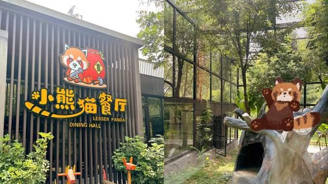 江西旅游，九江鹿鸣谷真的好好玩！