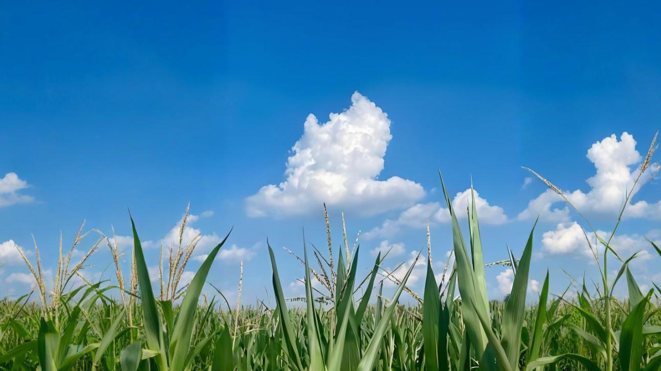 内耗的根源：你所谓的自我认知，全是“伪清醒”