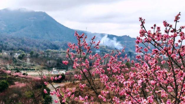 大别原乡，度假天堂：一日罗田，山水与人文皆温柔