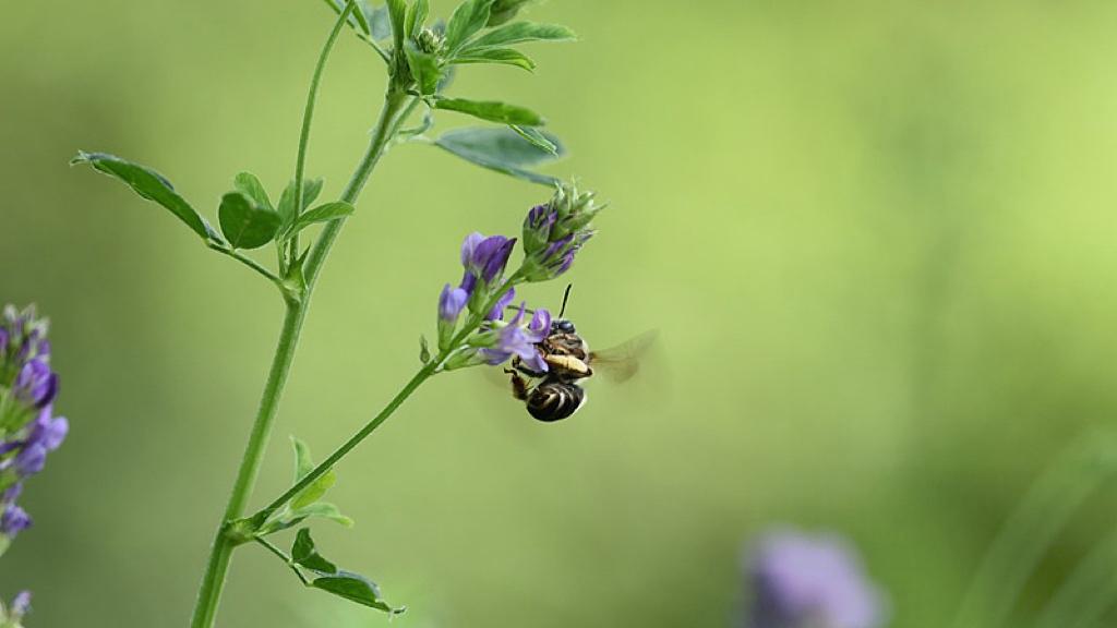 一块洼地凭啥变成创新高地？雄安给出了答案