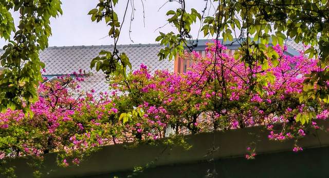 兑卦|心悦是相互的需诚信互惠，更需谨防小人阿谀取悦