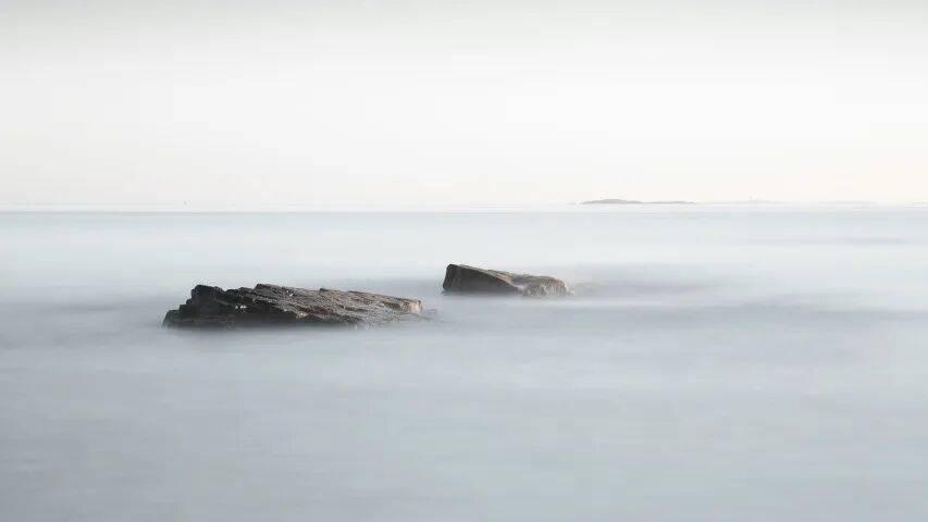 今年家电企业的“活下去”与“活得好”