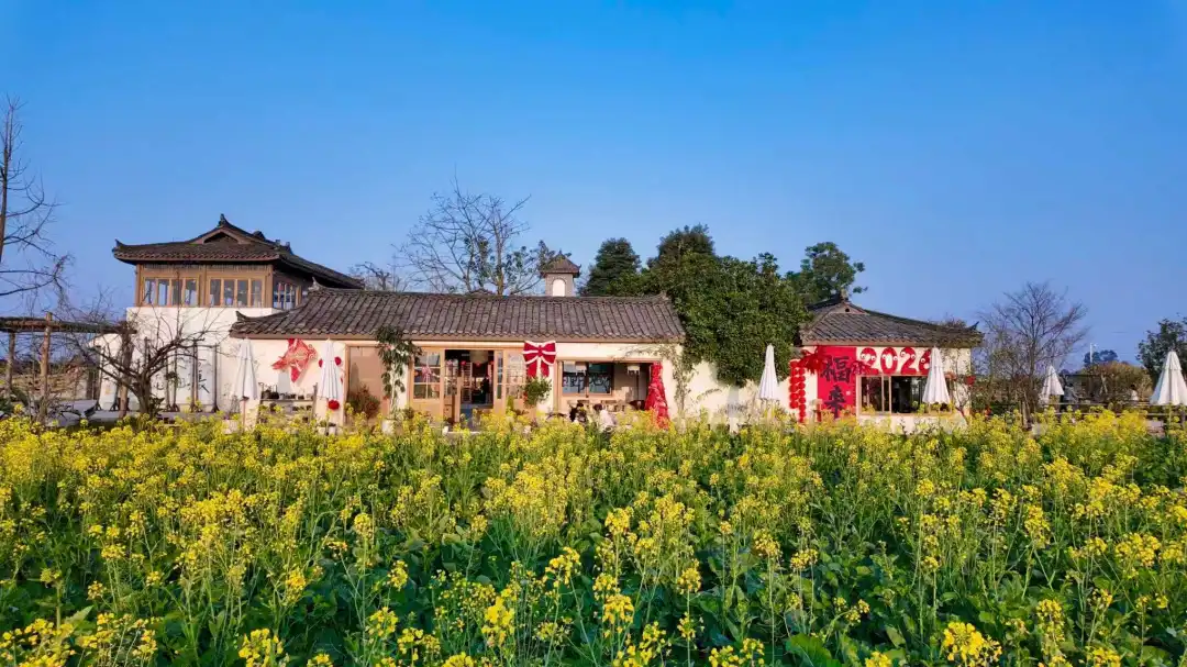 踏青研学、手作美食……春假来高埂，赴一场春日田园之约！