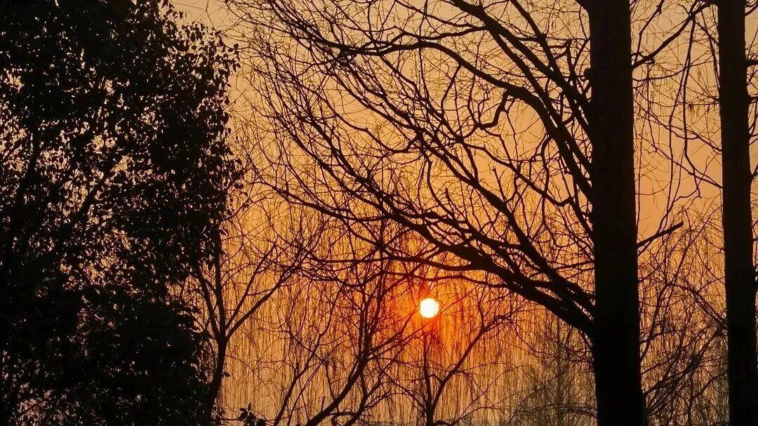 被催婚时最可怕的，不是没结婚，是你开始将就自己