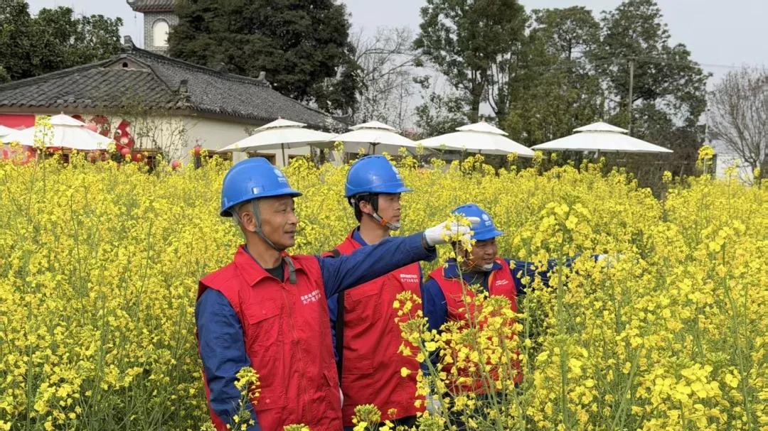 进网入格 电力护航——邛崃固驿供电所扎实推进农田灌溉保供工作