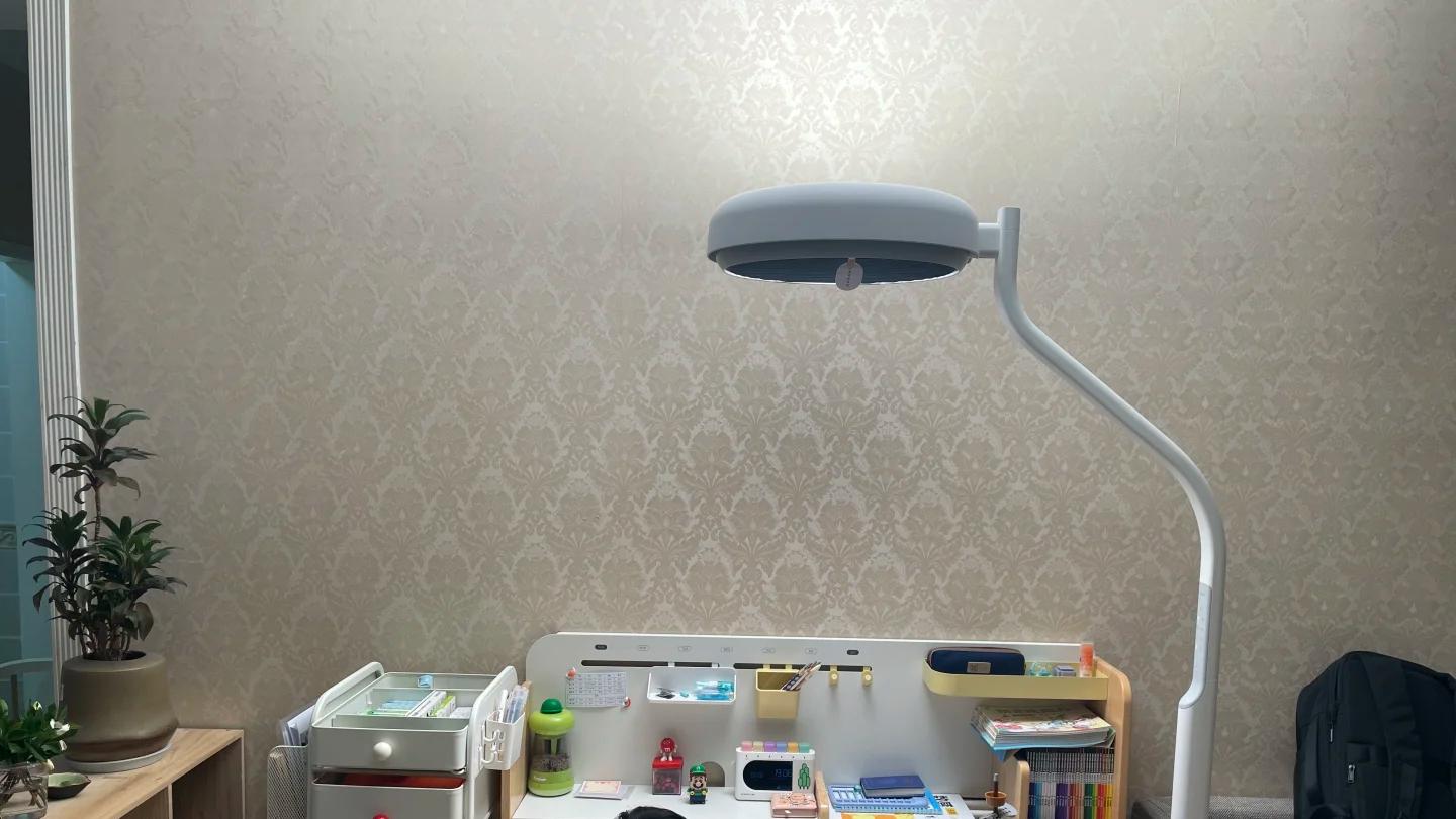 客厅护眼大路灯排名前十名，哪些是参数强，哪些是体验好？