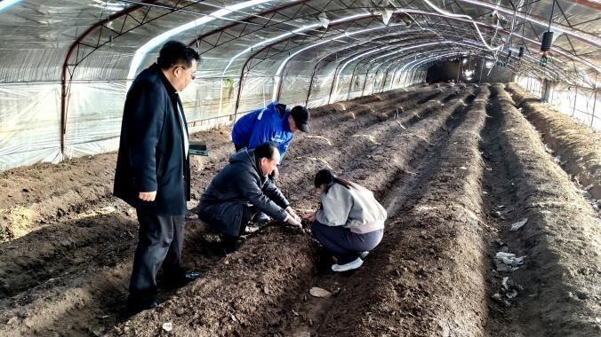 精准施策解冬管难题 河南省科技特派员助力农业发展