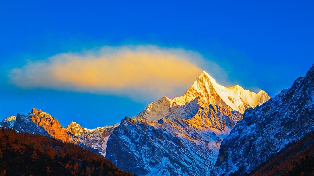 《人生的逻辑》：孝顺的体验