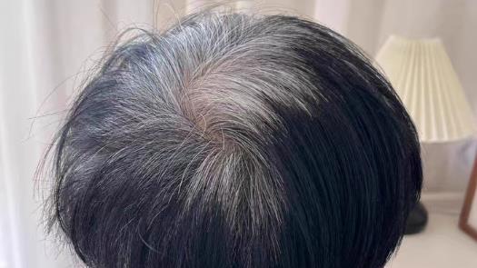 什么品牌的染发剂最好？2026十大放心的染发剂深度测评，植萃染护款高效遮白不伤发