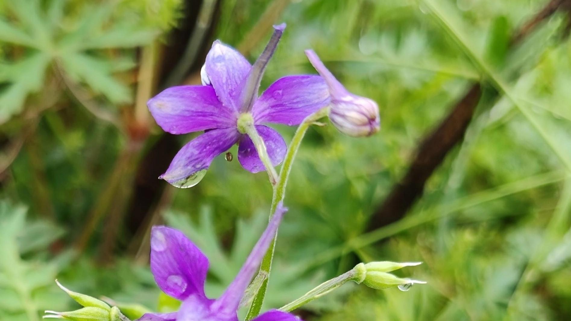 追寻那份阳光的暖