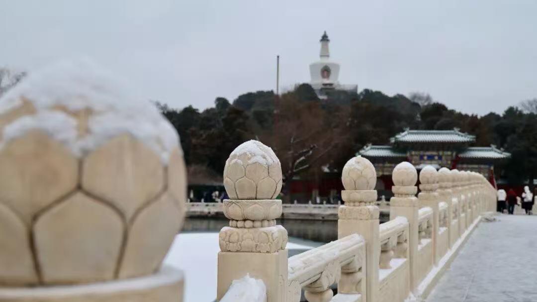 污点履历 “隐身” 入职？陕西榆林一工作人员档案真实性存疑 核查回应引关注