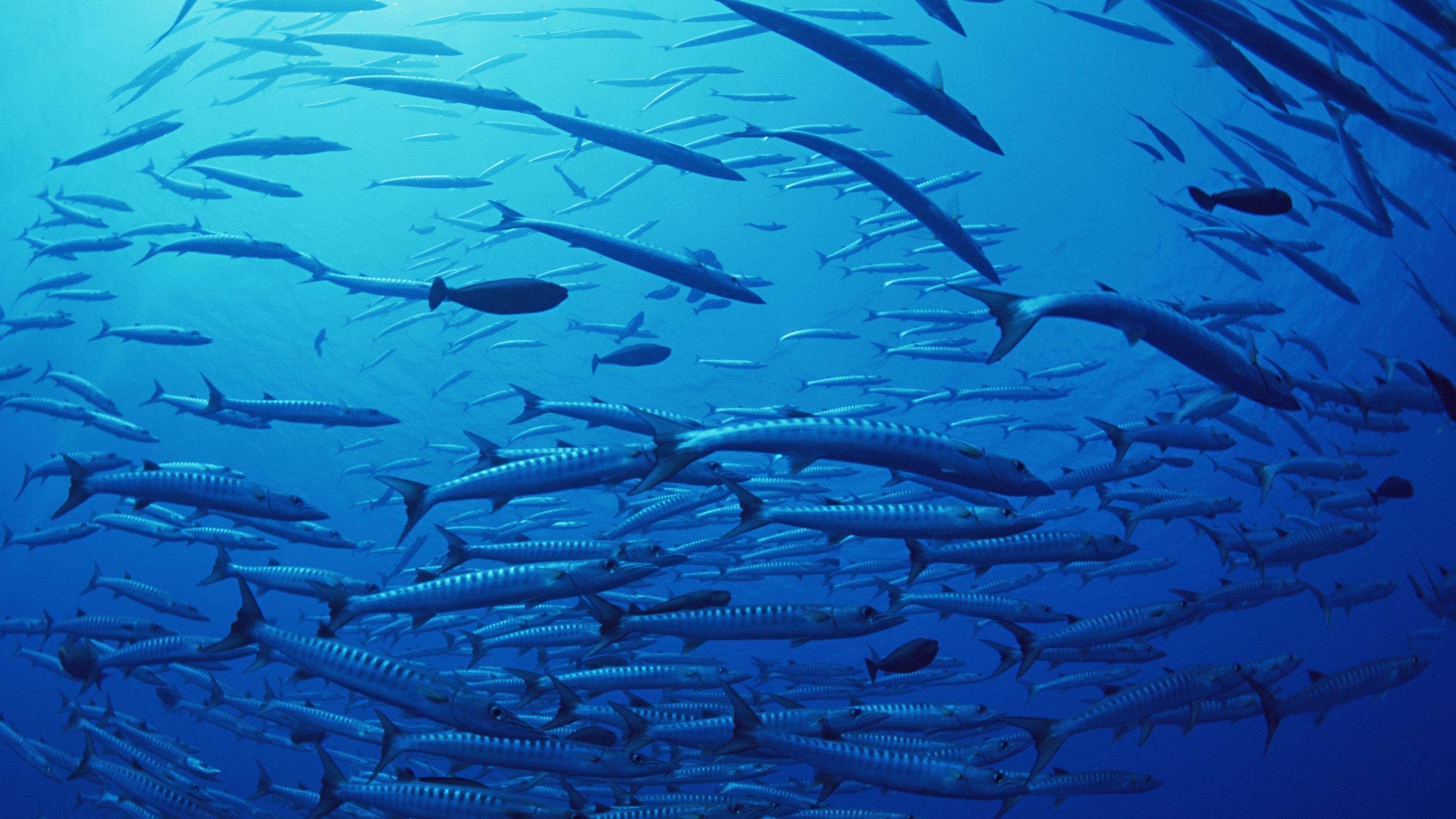 提振消费这件事，真不是“多发点钱”就行