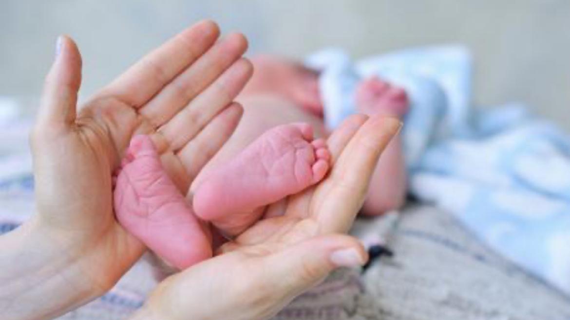 辅食工具大比拼：辅食机、蒸锅、研磨碗谁更实用？