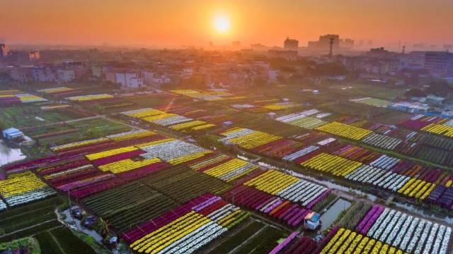 15个村获评省典型村，看顺德的“百千万工程”蝶变→