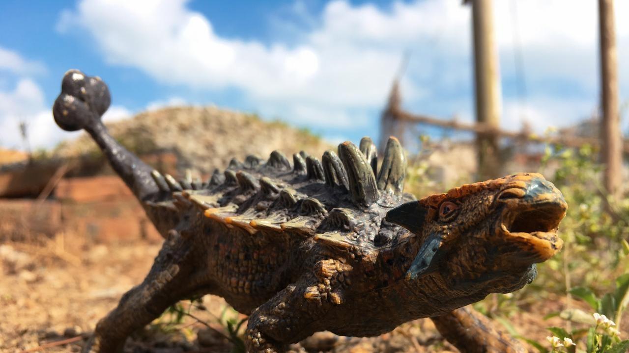 全身铠甲的恐龙，暴龙真的拿它没办法吗？