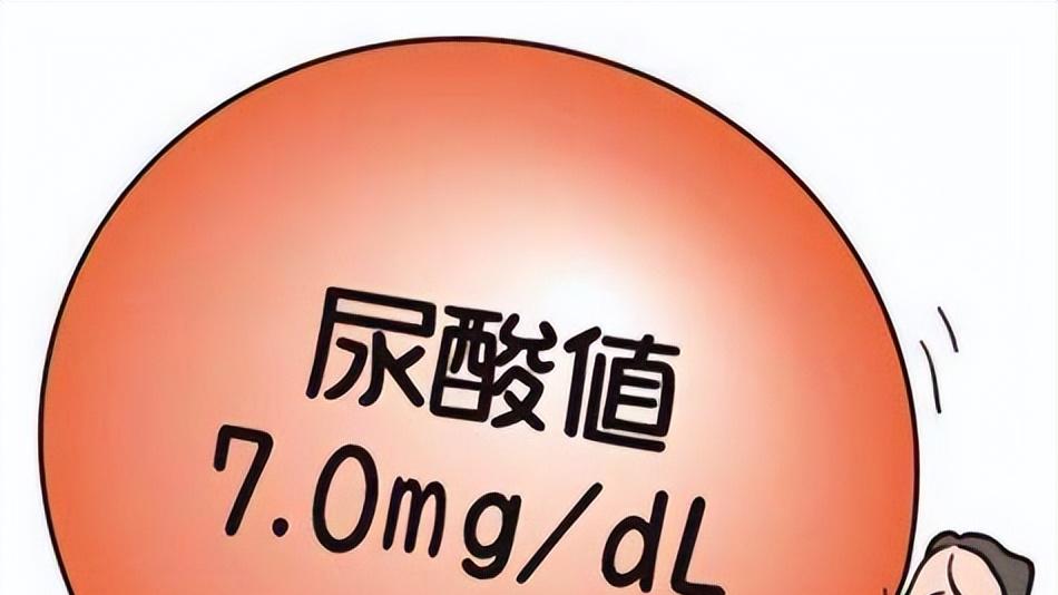 体检报告尿酸偏高，不痛不痒怕什么？别等痛风才后悔