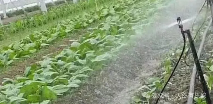 磷酸二氢钾（KH₂PO₄）全领域应用指南及使用规范