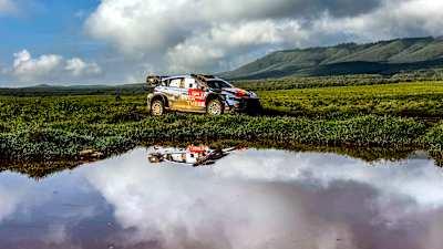 诺维尔在受伤萨法里后寻求重置