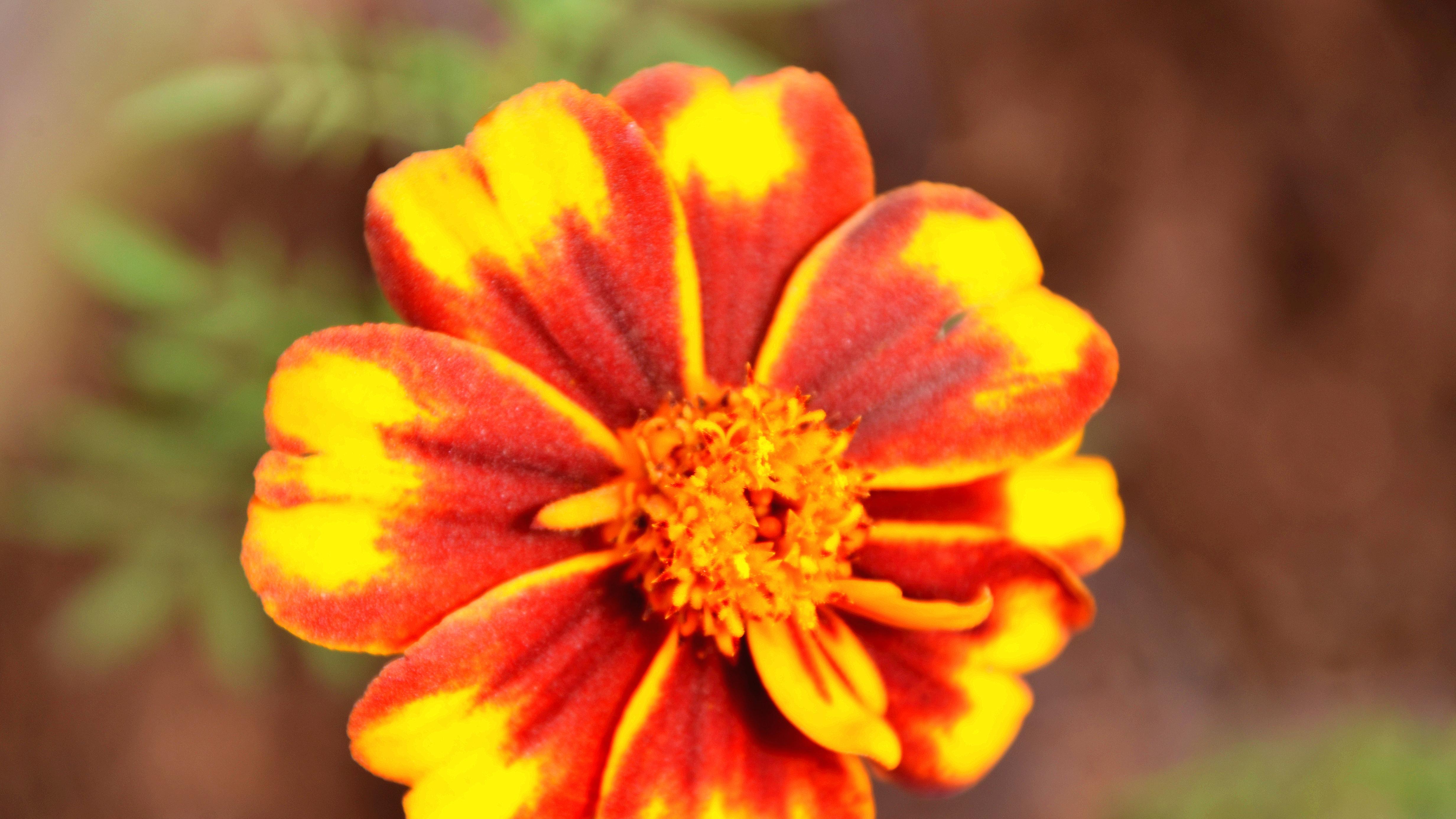 AI重塑矿业：最“土”行业，反而跑得最快