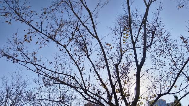 青春期的孩子不容易，家长更不容易，每个人都在努力迈向越来越好