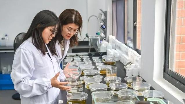 闽江大学是一本吗？当然是！还拿下了福建省国际科技合作重大项目