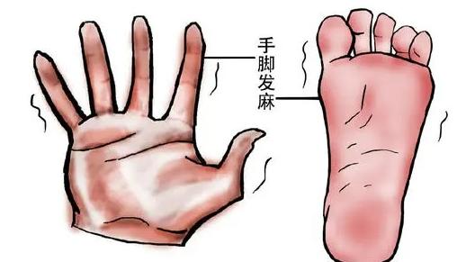 长辈们注意！手脚麻、腰酸疼，可能是经络堵了