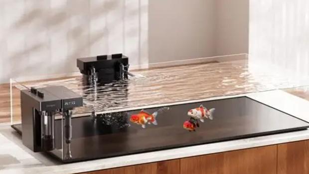 新手养鱼避坑指南：为什么2026年我首选当贝AI智能生态型过滤器？