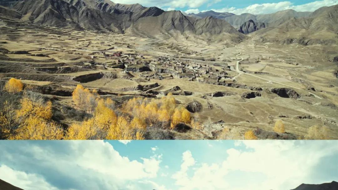 扎根现实、撼动人心，《生命树》好在多面