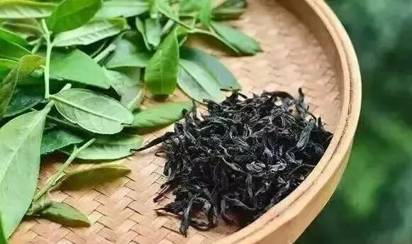 青茶的起源与变更是怎么回事?